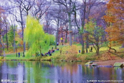 减肥茶排行榜前10名 (十大瘦身品牌排行榜)