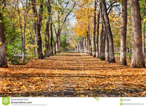 天美工作室 股票 (股票工作室照片)