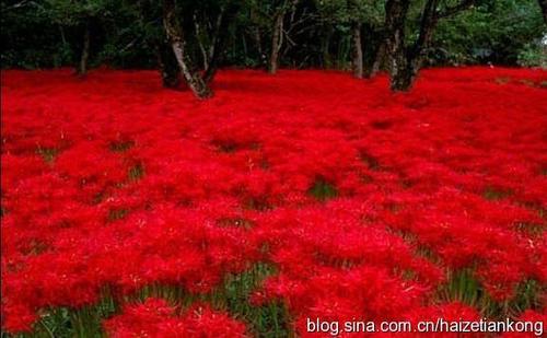 为什么外国没有国六,我们中国国6点16。