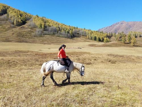 阿里巴巴美国股票