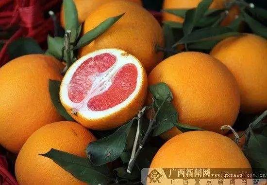 南宁市首个动物类地理标志“马山黑山羊”