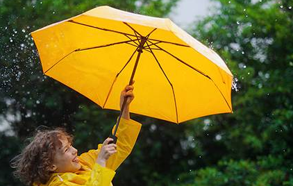 雨伞商标转让流程以及类别