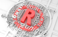 开封市向7家单位授权使用“开封菊花”地理标志